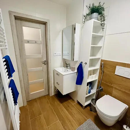 Pleasant Basement Apartment Prag